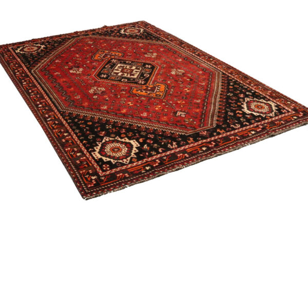 فرش دستبافت شیراز (216×309) سانتیمتر-4