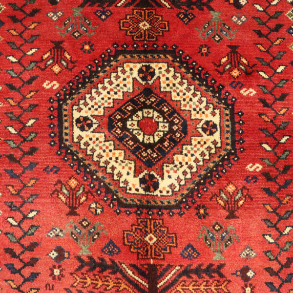 قالیچه دستبافت شیراز (165×258) سانتیمتر-6