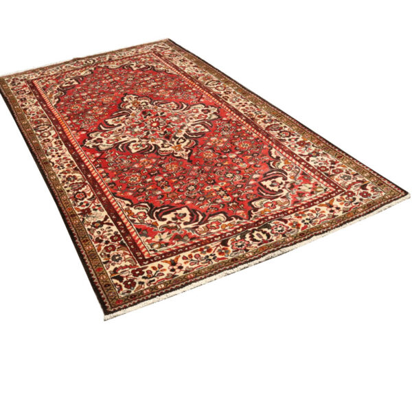 فرش دستبافت برچلو(175×315) سانتیمتر-4