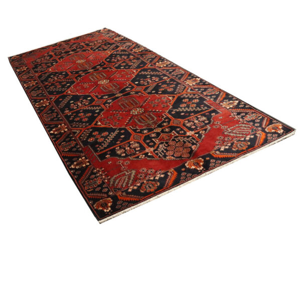 فرش دستبافت شاهسون (166×408) سانتیمتر-4