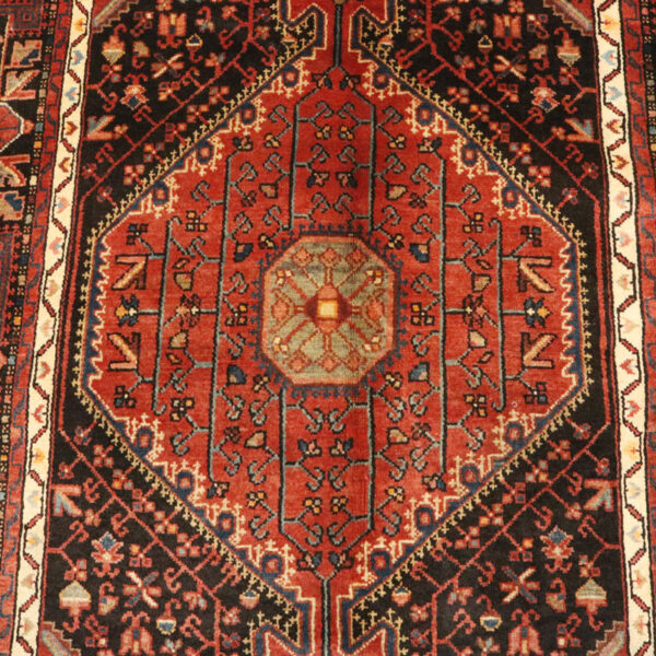 قالیچه دستبافت تویسرکان (142×268) سانتیمتر-6