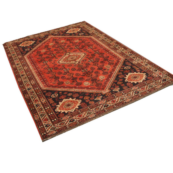 فرش دستبافت شیراز (207×301) سانتیمتر-4