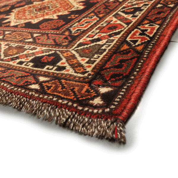 فرش دستبافت شیراز (207×301) سانتیمتر-9