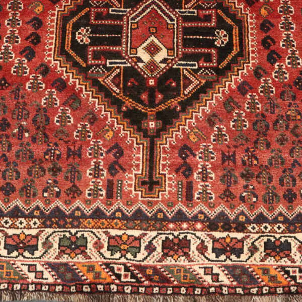 فرش دستبافت شیراز (207×294) سانتیمتر-6