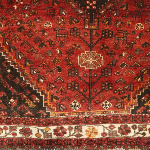 فرش دستبافت شیراز (226×329) سانتیمتر-7