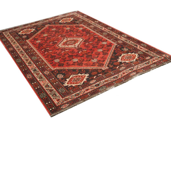 فرش دستبافت شیراز (213×300) سانتیمتر-4